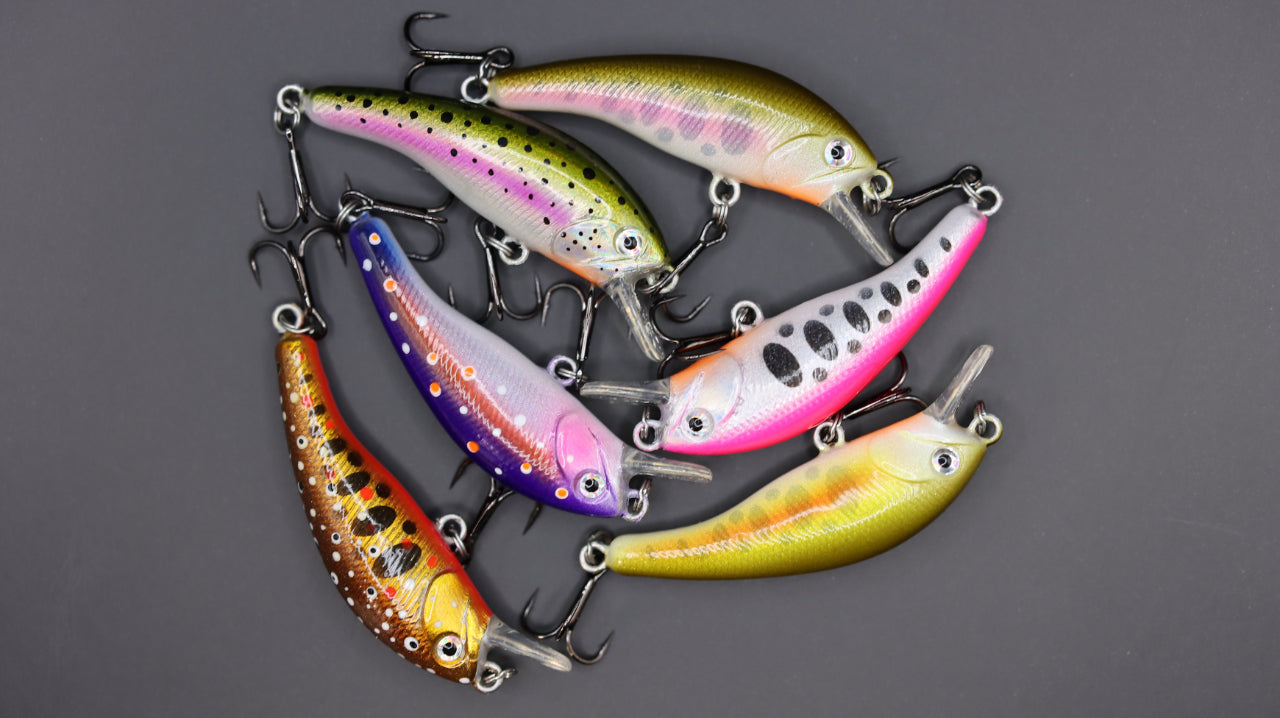 EVO HYBRID 45S Curcubeu