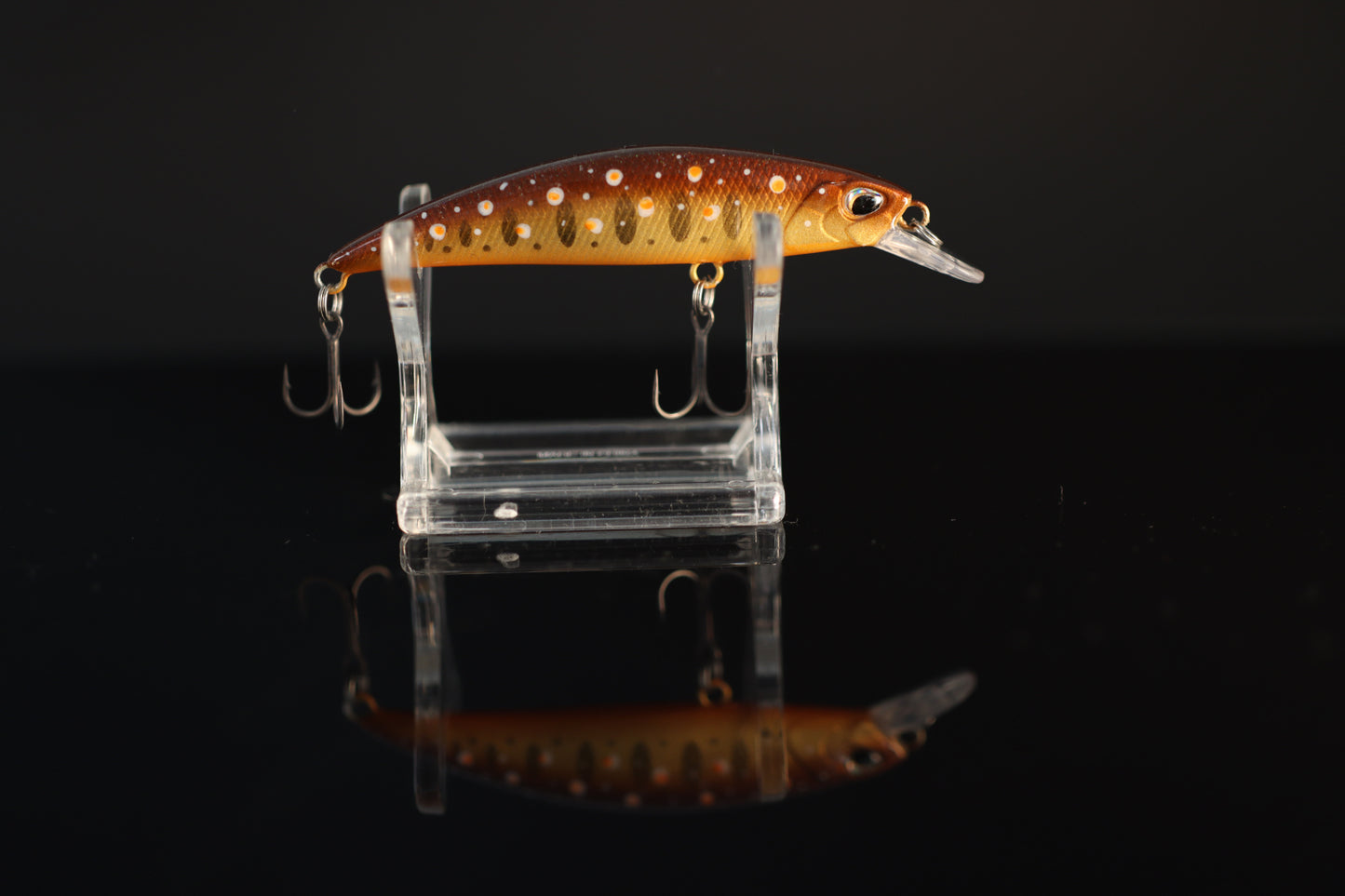 EVO WHISPER 70S - INDIGEN