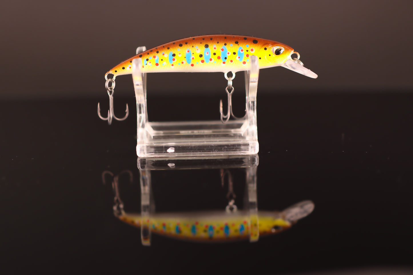 EVO WHISPER 70S - INDIGEN EVOLUTION