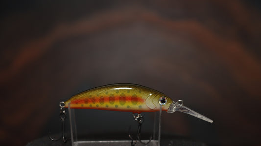 EVO WHISPER 50S DEEP - PROTOTIP 2