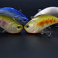 Vobler EVO Rattling 55 Prototip 2