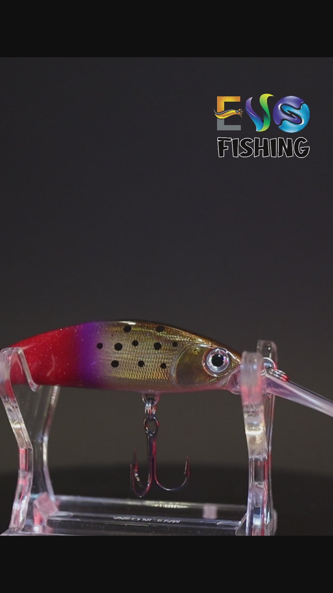 Prezentare video naluca INDIGEN Blood Tail - Evolutia culorii - EvoFishing