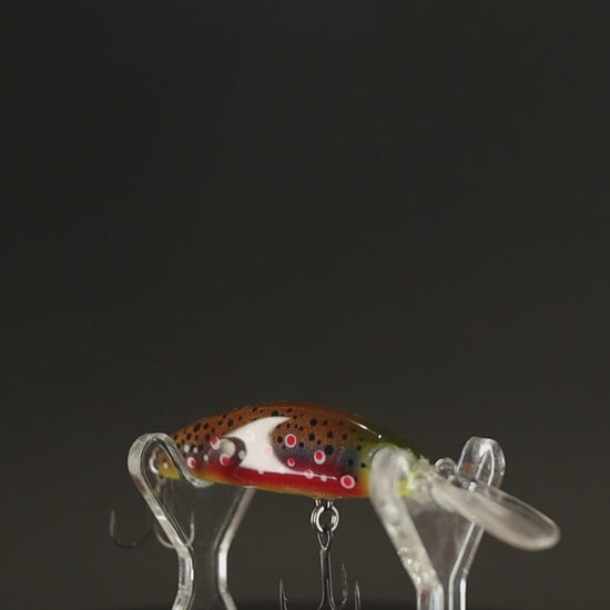 Video prezentare vobler handmade Indigenul de Foc – detaliu ultra-realist al coloritului de nuntă și finisajului premium Evo Fishing