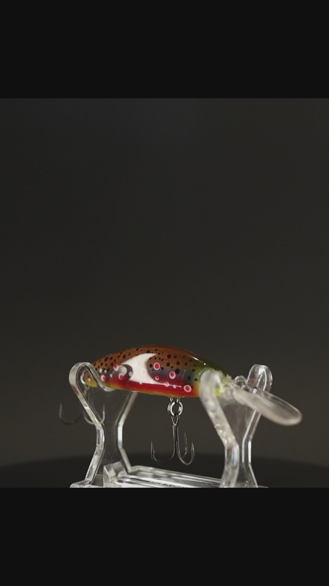 Video prezentare vobler handmade Indigenul de Foc – detaliu ultra-realist al coloritului de nuntă și finisajului premium Evo Fishing